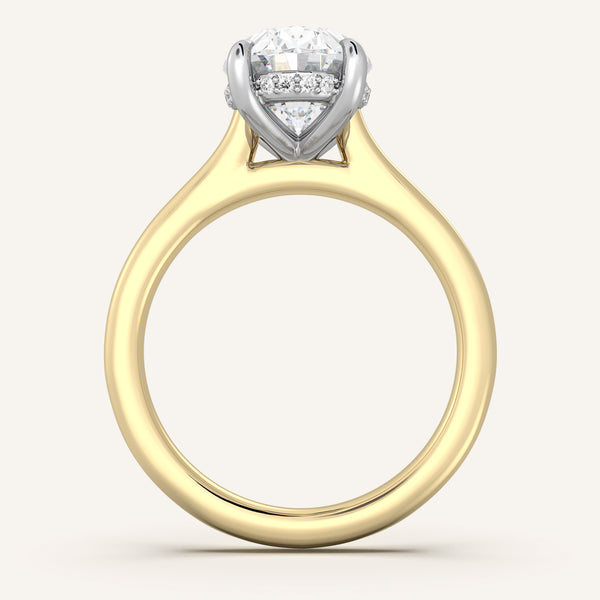 Cathedral Hidden Halo Engagement Ring | 14k Two Tone
