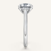Image for Round Cathedral Hidden Halo Engagement Ring | 14k White Gold