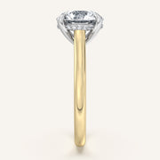 Image for Round Cathedral Hidden Halo Engagement Ring | 14k Two Tone