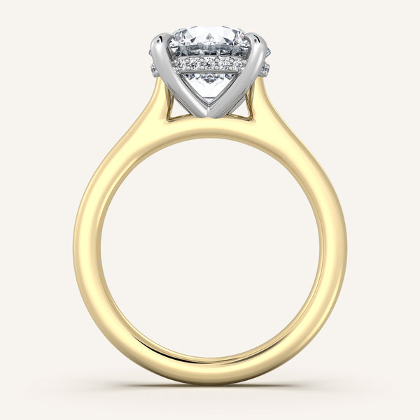 Cathedral Hidden Halo Engagement Ring | 18k Two Tone