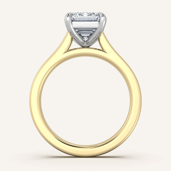 Maison Cathedral Engagement Ring | 18k Two Tone
