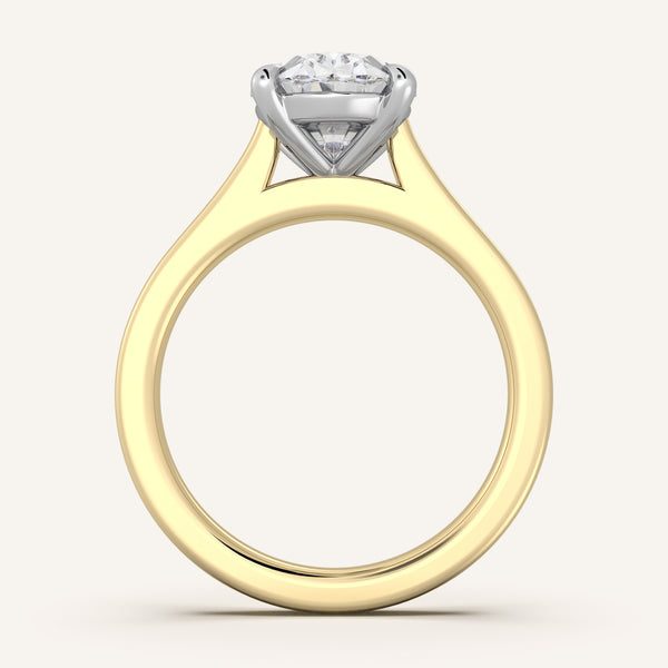 Maison Cathedral Engagement Ring | 14k Two Tone
