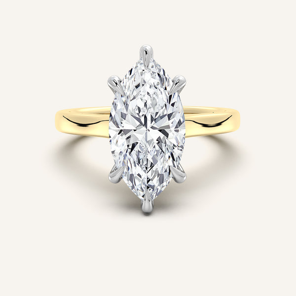 Maison Cathedral Engagement Ring | 18k Two Tone