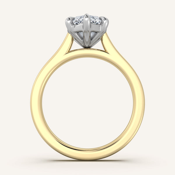 Maison Cathedral Engagement Ring | 14k Two Tone