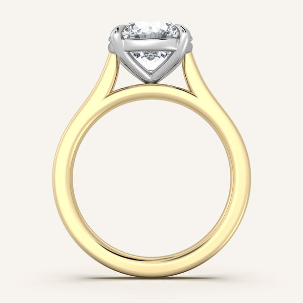 Maison Cathedral Engagement Ring | 18k Two Tone