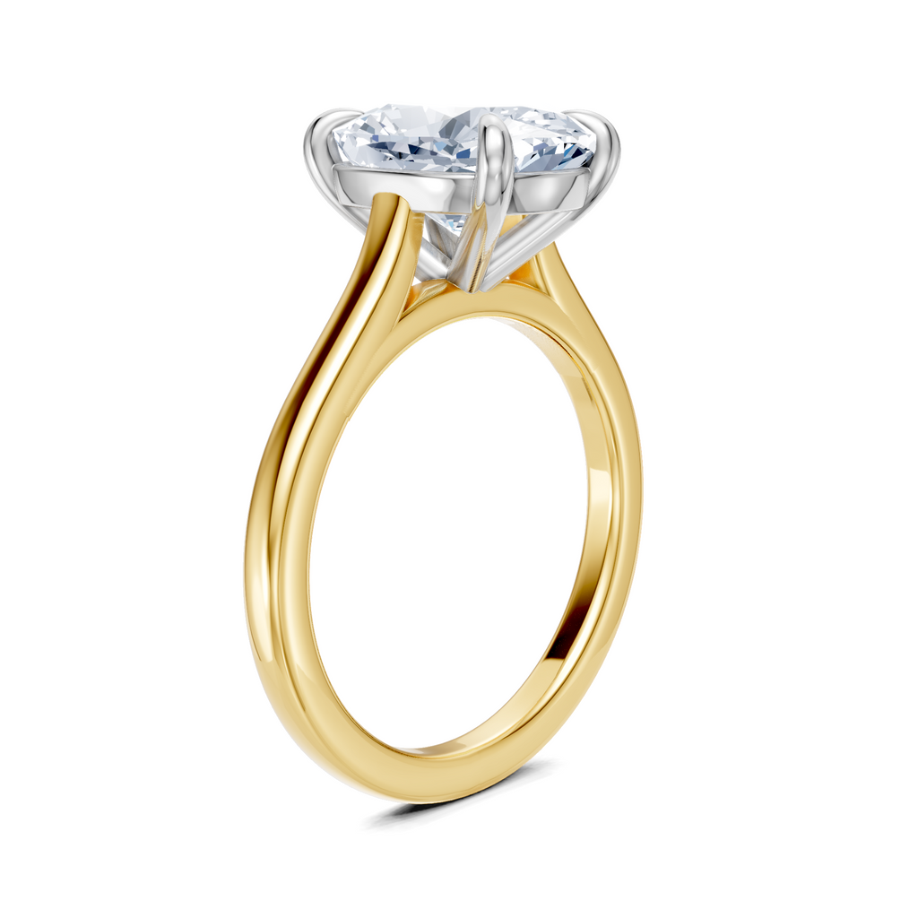 Image for Maison Cathedral Engagement Ring | 14k Two Tone