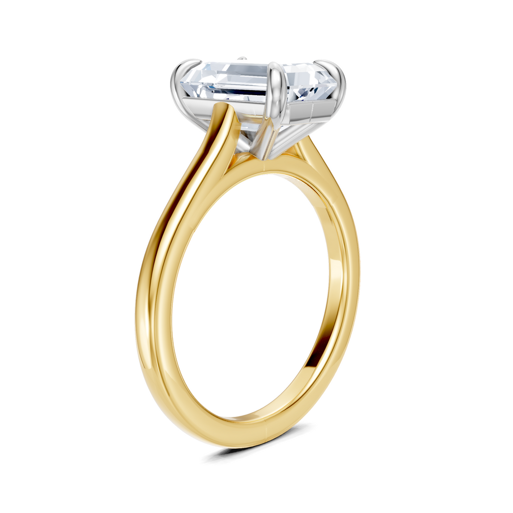 Image for Maison Cathedral Engagement Ring | 14k Two Tone