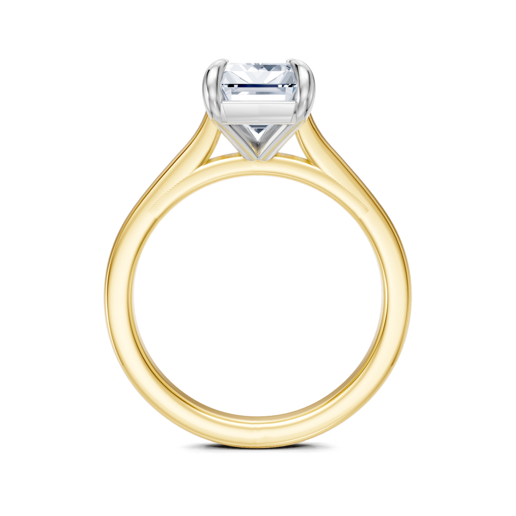Image for Maison Cathedral Engagement Ring | 14k Two Tone