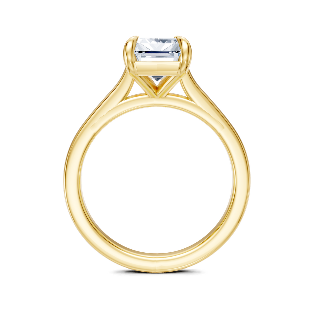 Image for Maison Cathedral Engagement Ring | 14k Yellow Gold