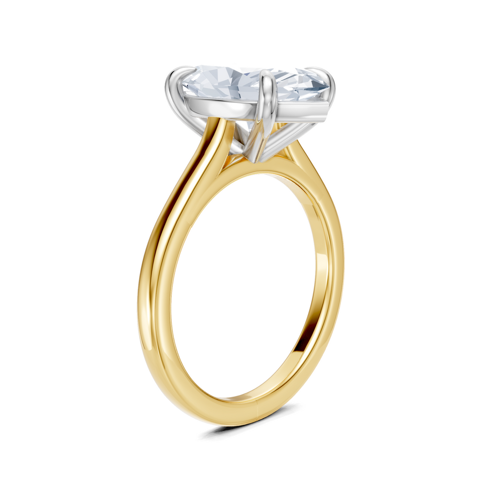 Image for Maison Cathedral Engagement Ring | 18k Two Tone
