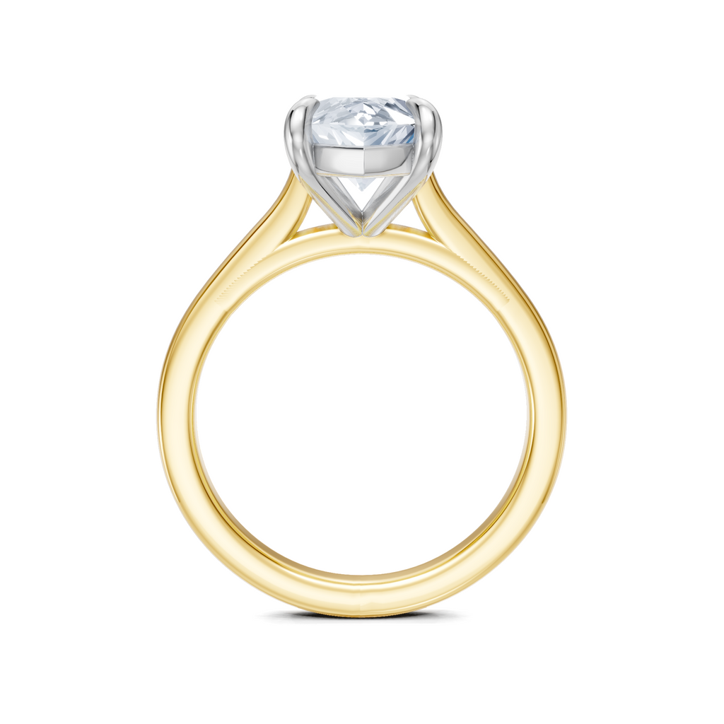 Image for Maison Cathedral Engagement Ring | 18k Two Tone