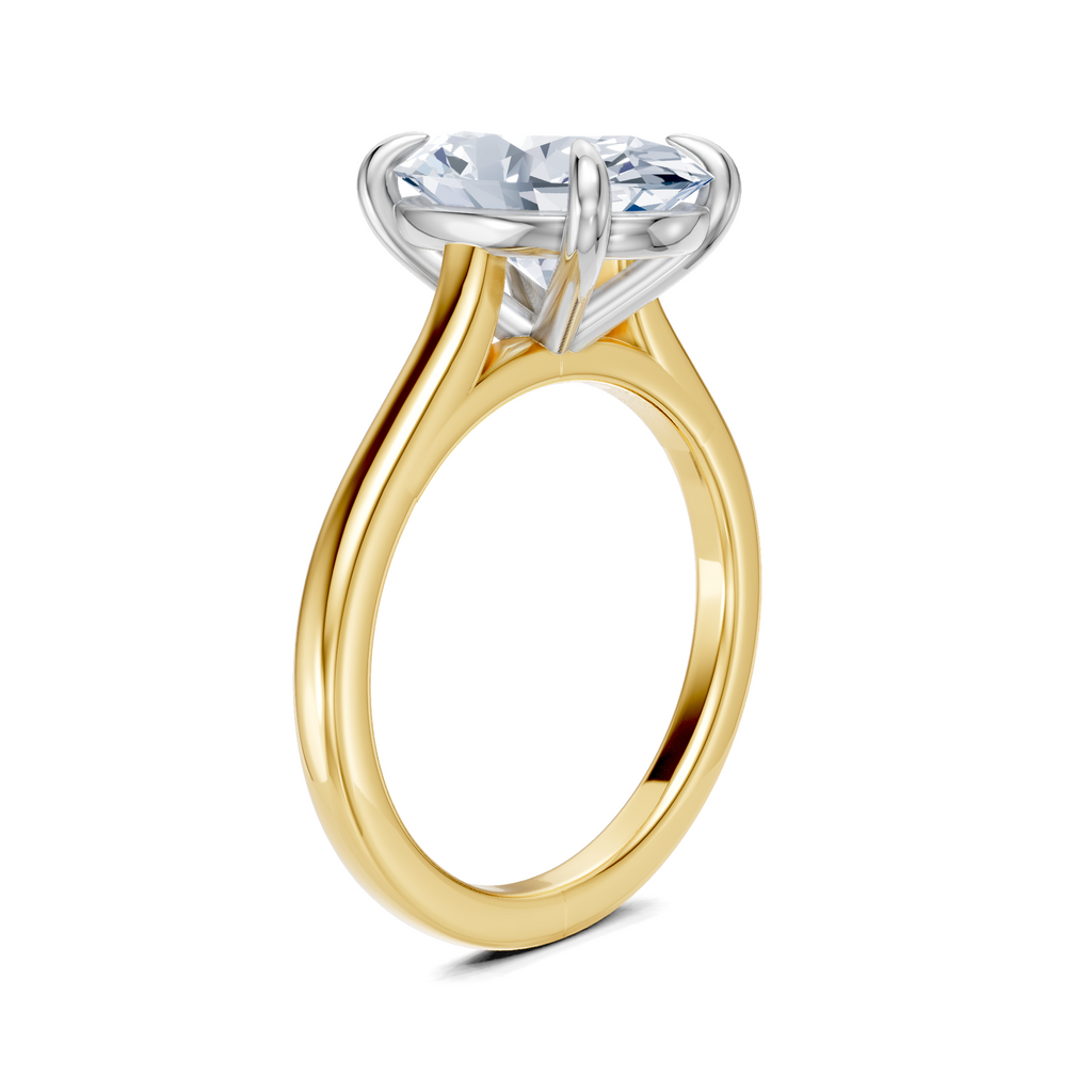 Image for Maison Cathedral Engagement Ring | 18k Two Tone