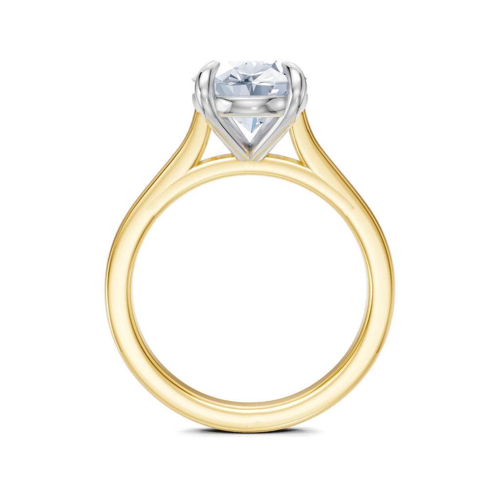 Image for Maison Cathedral Engagement Ring | 14k Two Tone