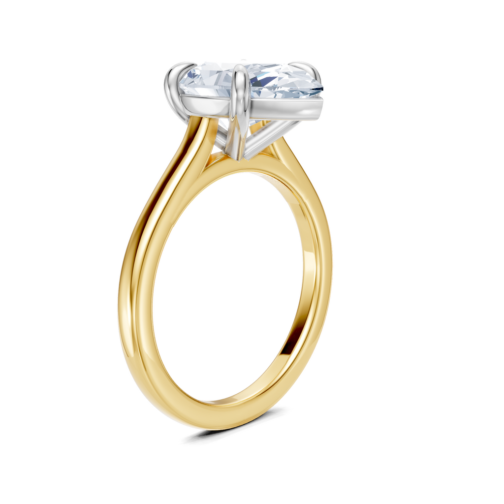 Image for Maison Cathedral Engagement Ring | 18k Two Tone