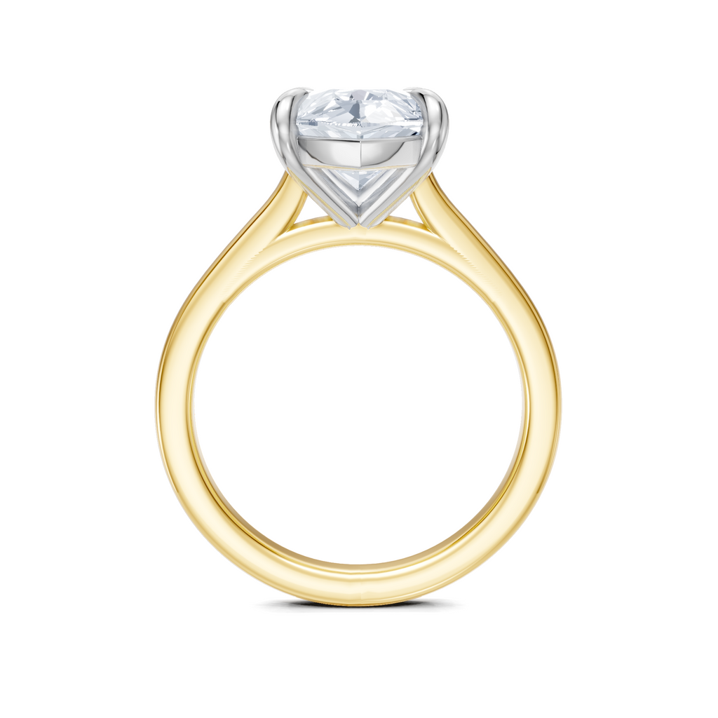 Image for Maison Cathedral Engagement Ring | 18k Two Tone