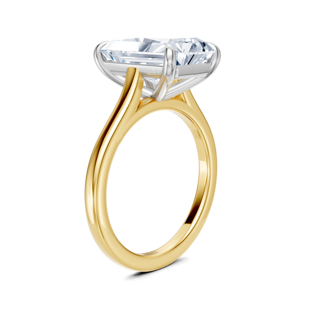 Image for Maison Cathedral Engagement Ring | 14k Two Tone