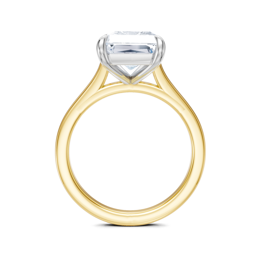 Image for Maison Cathedral Engagement Ring | 18k Two Tone