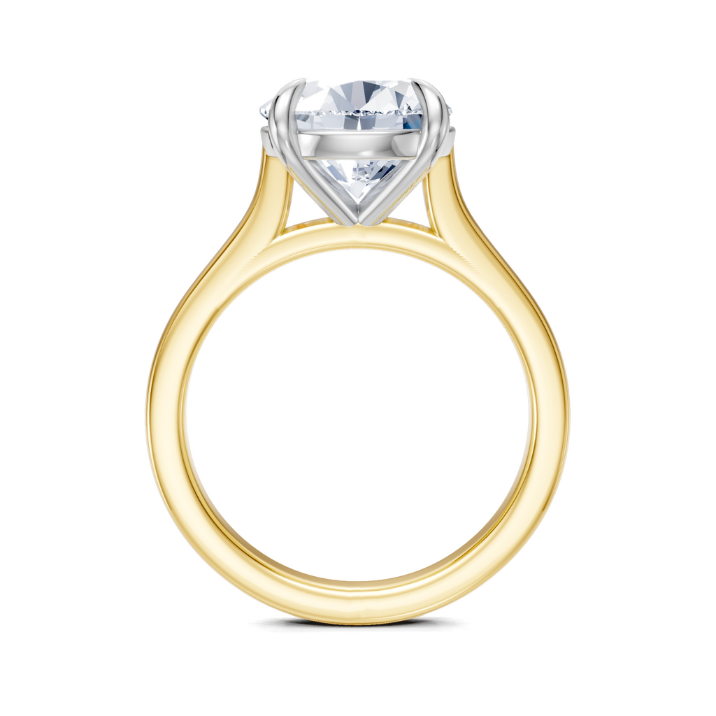 Image for Maison Cathedral Engagement Ring | 18k Two Tone