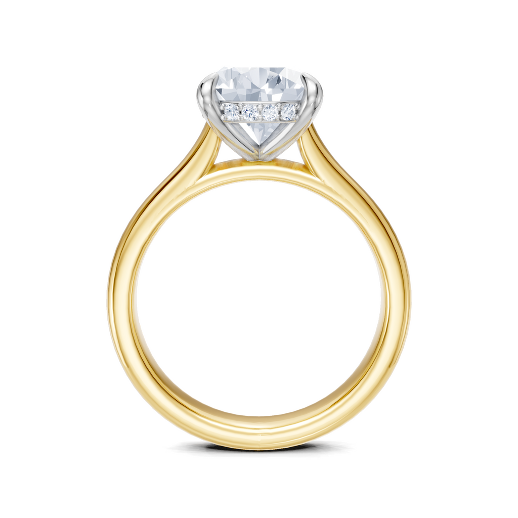Image for Aurore Side Stone Engagement Ring | 14k Two Tone