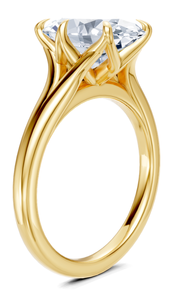 Aiden T. Engagement Ring Design Pt1