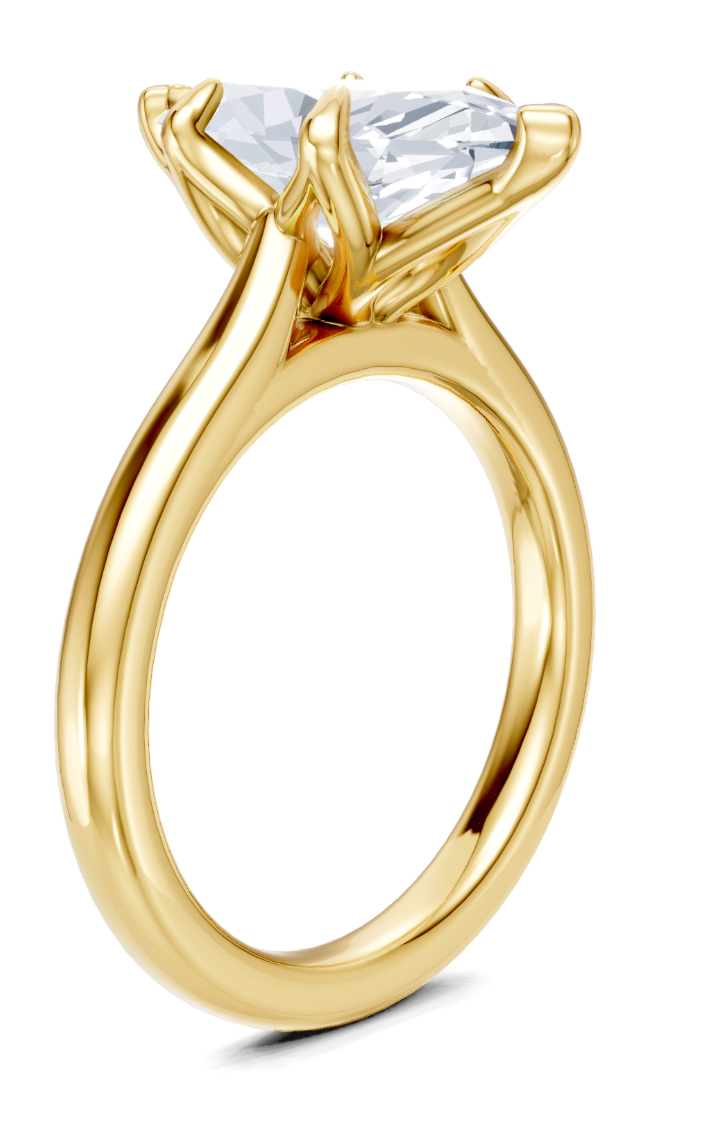 Yash Engagement Ring Design