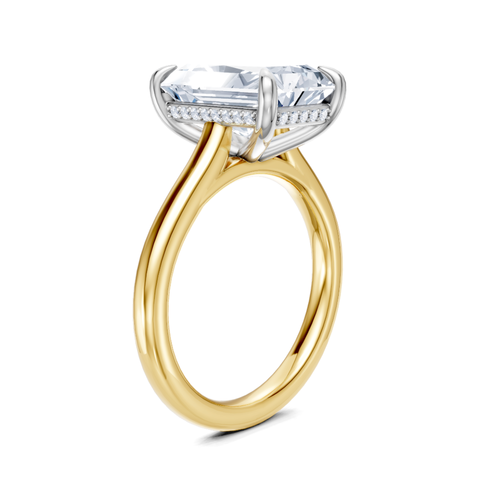 Cathedral Hidden Halo Engagement Ring | 18k Two Tone | 3.02ct D-VVS1 Radiant