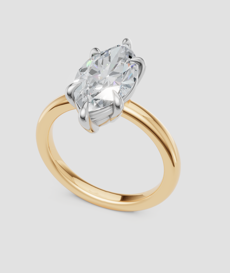 Lauren C Custom Engagement Ring