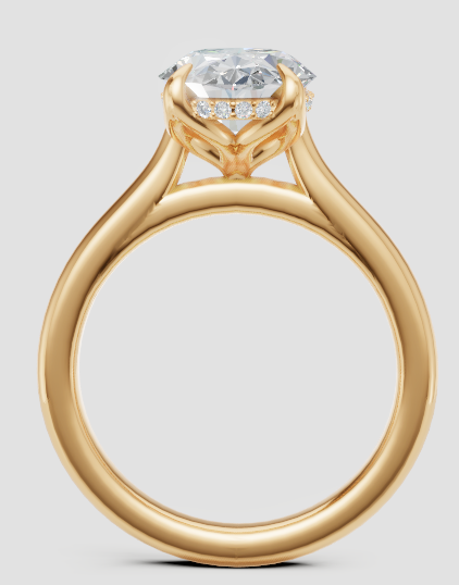 Mohamed Engagement Ring Design