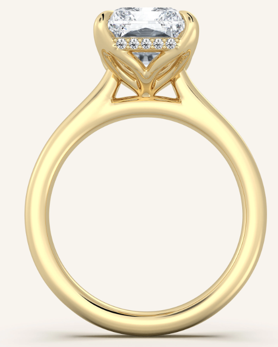 BluNay Custom Engagement Ring Design