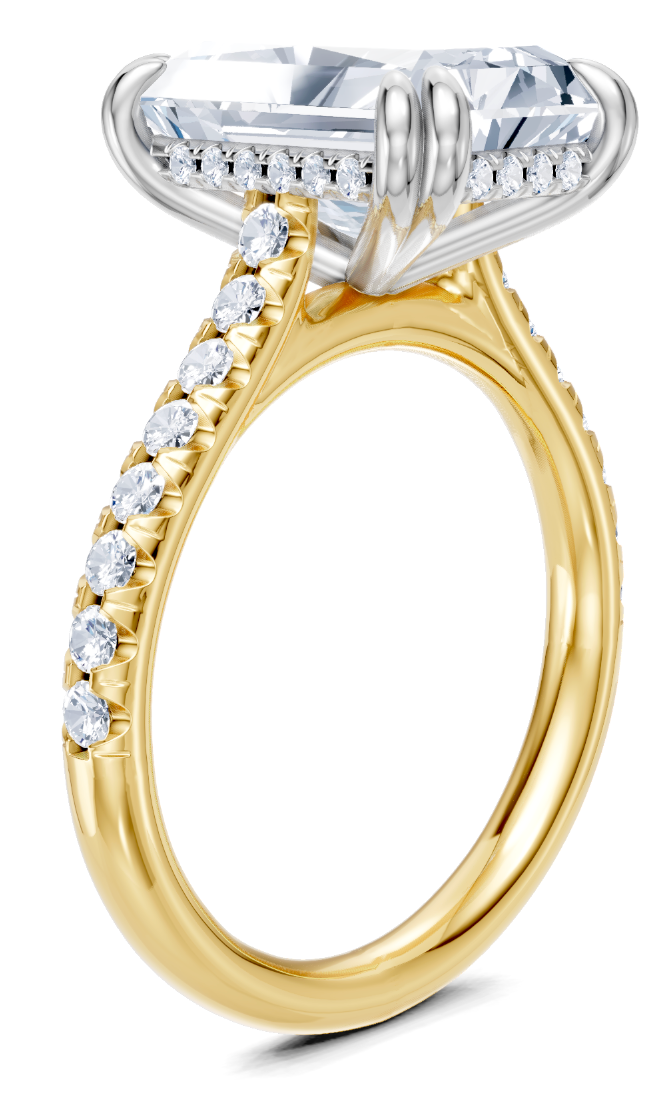 Tabari R Engagement Ring Design