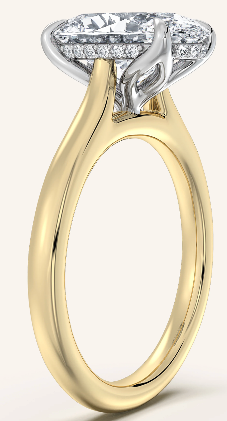 Jacob T - Megan Custom Engagement Ring Design