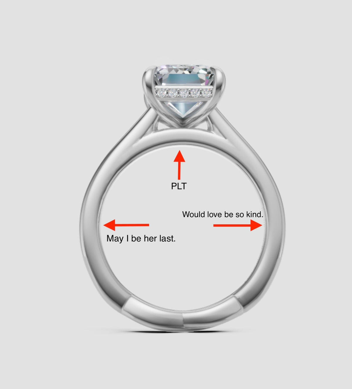 Trung V Custom Engagement Ring