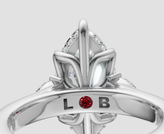 Brandon C Updated Design