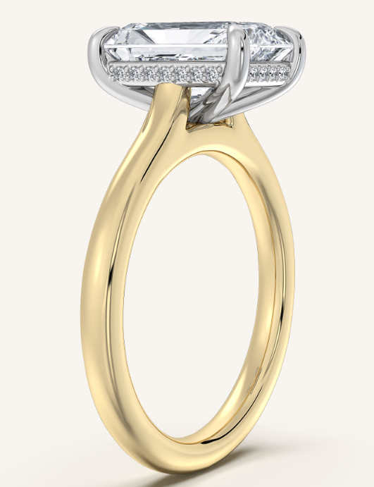 Brianna R Engagement Ring Inquiry