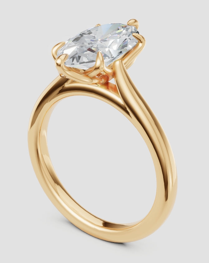 Noah B Custom Engagement