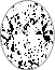 Oval